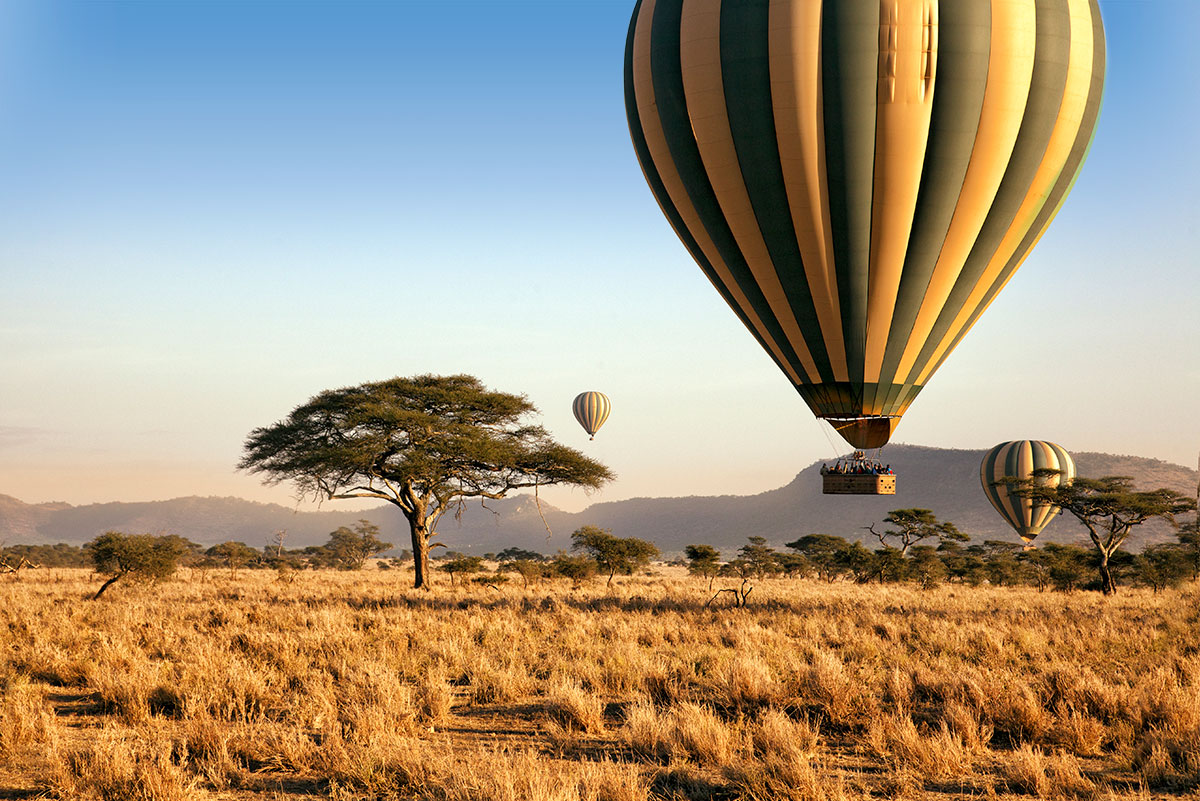 Experience Tanzania like Never Before with Our Hot Air Balloon Safaris Experience the thrill of a lifetime with our balloon fly safari adventure that will take you high up above the breathtaking landscapes of Tanzania. 